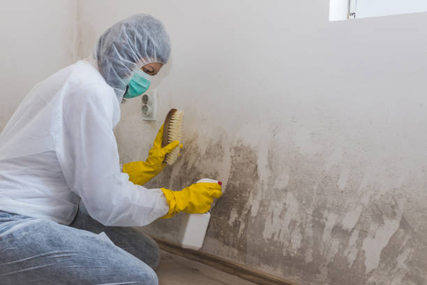 Mold Removal for HVAC Installations in Otterbein, IN