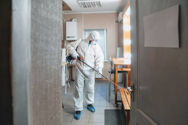 Best Biohazard Mold Removal  in Otterbe, IN