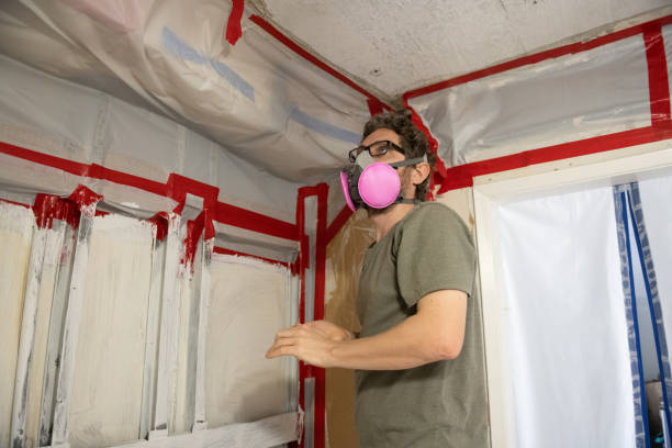 Otterbein, IN Mold Removal Company