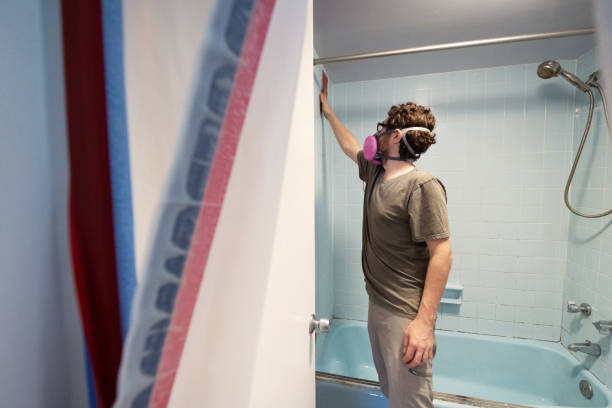 Best Mold Remediation for Vacation Homes  in Otterbe, IN
